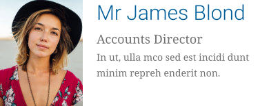 Mr James Blond Accounts Director In ut, ulla mco sed est incidi dunt minim repreh enderit non.