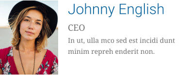 Johnny English CEO In ut, ulla mco sed est incidi dunt minim repreh enderit non.