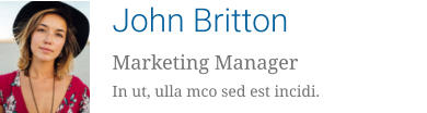 John Britton Marketing Manager In ut, ulla mco sed est incidi.