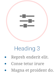 Heading 3 •	Repreh enderit elit. •	Conse tetur irure •	Magna et proident do.