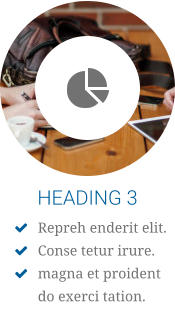 HEADING 3 	Repreh enderit elit.  	Conse tetur irure. 	magna et proident do exerci tation.