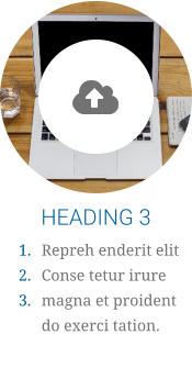 HEADING 3 	1.	Repreh enderit elit  	2.	Conse tetur irure 	3.	magna et proident do exerci tation.