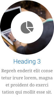 Heading 3 Repreh enderit elit conse tetur irure lorem, magna et proident do exerci tation qui mollit esse sit.